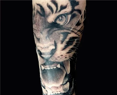 tatu harimau