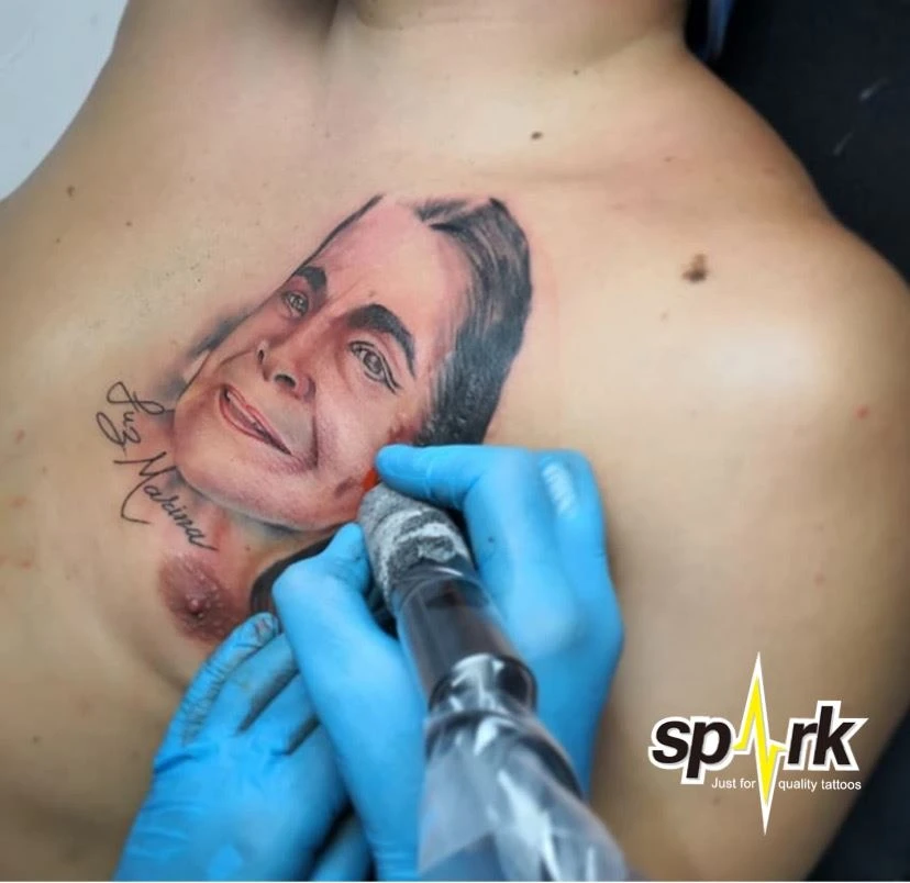 Apakah Tatu Potret?